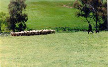 Gooromon Park Cottages - New South Wales Tourism  0