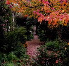 Gulgong B and B - New South Wales Tourism 