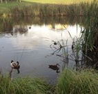 Harewood House Bed and Breakfast - New South Wales Tourism 