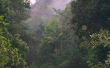 Havans Ecotourist Retreat - - New South Wales Tourism  0