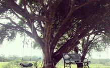 Kabana Luxury Accommodation - New South Wales Tourism  3