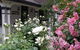 Langford House B&B - thumb 7