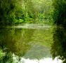 Mangrove Yoga Ashram - - New South Wales Tourism 