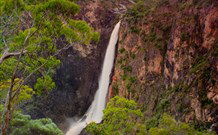 Petersons Guesthouse - New South Wales Tourism  2