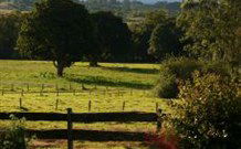 Pines On The Plateau - New South Wales Tourism  0