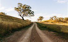 Rosby Guesthouse & Studio - New South Wales Tourism  4