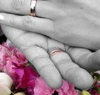 Salisbury Lodges and Araluen Restaurant - New South Wales Tourism 