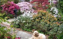 Shelton-Lea Bed And Breakfast - New South Wales Tourism  1