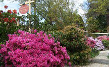 Shelton-Lea Bed And Breakfast - New South Wales Tourism  2