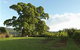 Silos Estate - - thumb 1