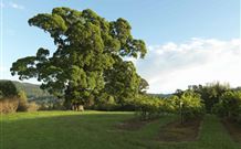 Silos Estate - - New South Wales Tourism  1