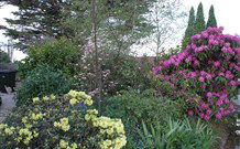 Silvermere Guesthouse - - New South Wales Tourism  1