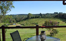 The Shed B And B - New South Wales Tourism  0