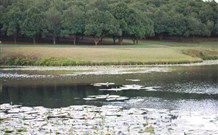 The Shed B And B - New South Wales Tourism  5