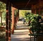 The Vineyard Motel - New South Wales Tourism 