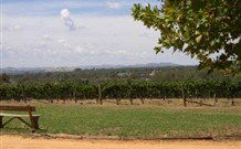 The Vineyard Motel - New South Wales Tourism  1