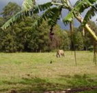 The Watertank Bed and Breakfast - New South Wales Tourism 