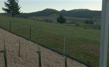 Towac Valley Cabins - New South Wales Tourism  0