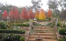 Wejalee Bed And Breakfast - New South Wales Tourism  2