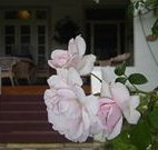 White House Heritage Guesthouse - New South Wales Tourism 