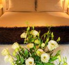 Winton Luxury Bed and Breakfast - New South Wales Tourism 