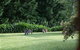 Yallambee Bed And Breakfast - thumb 4