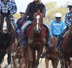 Jemby Rinjah Eco Lodge - New South Wales Tourism 