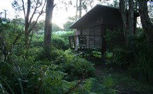 Mount Seaview Resort - New South Wales Tourism  0