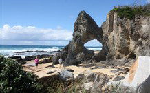 Newcastle Beach YHA - New South Wales Tourism  5