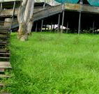Snowy Valley Resort - New South Wales Tourism 