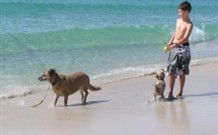 A Paradise Bungalow Waterfront - New South Wales Tourism  0