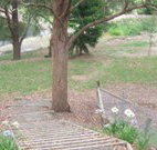 Bathurst Goldfields Accommodation - New South Wales Tourism 