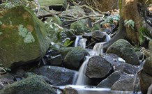 Berenbell Vineyard Retreat - New South Wales Tourism  7