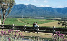 Berringer Lake Holiday Cottages - New South Wales Tourism  7