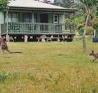 Bewong River Retreat - New South Wales Tourism 