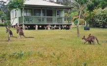 Bewong River Retreat - New South Wales Tourism  0