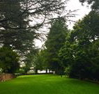 Brigalow Cottage - New South Wales Tourism 