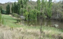 Cedar Grove - New South Wales Tourism  0