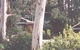 Chifley Dam Cabins - thumb 0