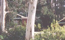 Chifley Dam Cabins - New South Wales Tourism  0