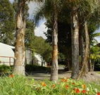 Cochabonddu - New South Wales Tourism 