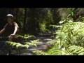 Currawong Cottage Blackheath - New South Wales Tourism  1