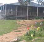 Dairy Flat Farm Holiday