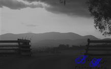 Denham Cottage - New South Wales Tourism  3