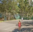 Driftwood - New South Wales Tourism 