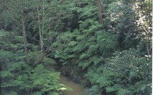 Eco Huts - Jervis Bay Getaways - New South Wales Tourism  1