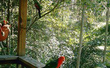 Eco Huts - Jervis Bay Getaways - New South Wales Tourism  2