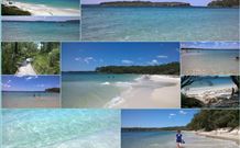 Fossickers Cottages - New South Wales Tourism  6