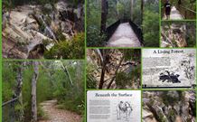 Fossickers Cottages - New South Wales Tourism  7