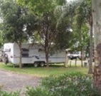 Gum Tree Heaven - New South Wales Tourism 
